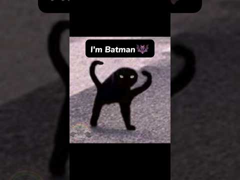 [I'm Batman ????] #cat  #edit #meme #capcut