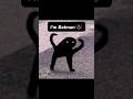 I M Batman Cat Edit Meme Capcut