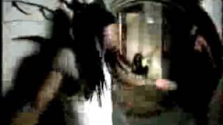 Ludacris feat. Lil' Wayne - Last of A Dying Breed [VIDEO]