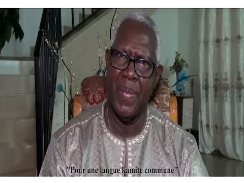 Doumbi FAKOLY - Pour une langue kamite commune