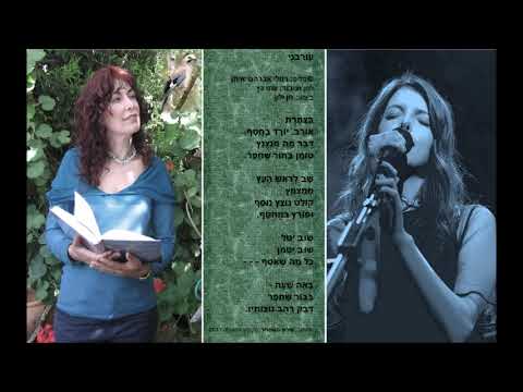 השיר "עורבני" מתוך: שירת השחרור", לחן ועיבוד: עוזי כץ, ביצוע: חן ילון. thumbnail