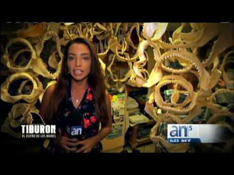 Serie Especial Tiburon, El Dueno De Los Mares Parte II