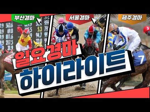 [경주결과] 2025년6월1일 일요경마(서울/부산결과) 하이라이트!! 대상경주 대이변!!#대상경주#경주결과#경마왕