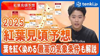 【2025年紅葉見頃予想】 全国的に平年並みか遅い 10月中旬は北日本で色づき加速