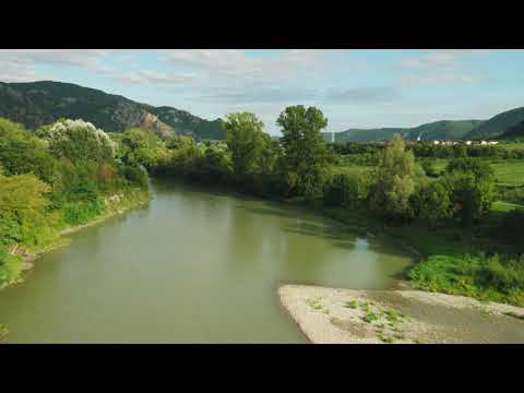 Drohnenflug Projektgebiet LIFE Auenwildnis Wachau, Sommer 2019