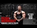 Push Workout - Shoulders, Chest, and Triceps | Seth Feroce