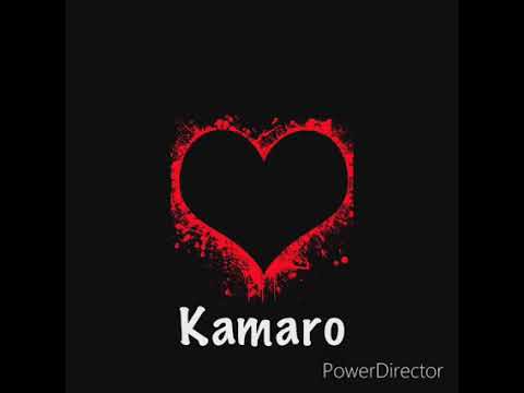 Gipsy Kamaro - Avry mange dzav