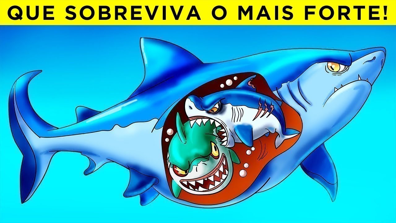 As Piores Mães Do Reino Animal