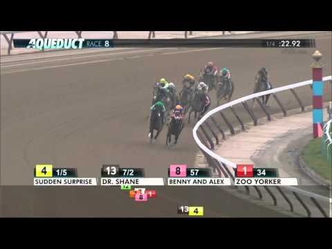 Sudden Surprise - 2015 NYSS Great White Way Stakes