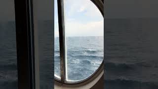 #cruiselife #royalcaribbean #cruise #miami #windowview #relaxing #okaytravel