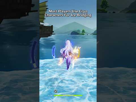 Some Players Use Different Element Characters In Genshin Impact