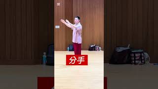 ##china武術 ##太極拳# 太極剣 #太極養生#初心者向け#