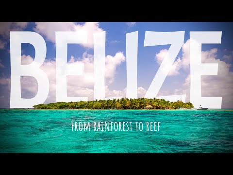 Belize—8 Days of Exploring, from Rainforest to Reef