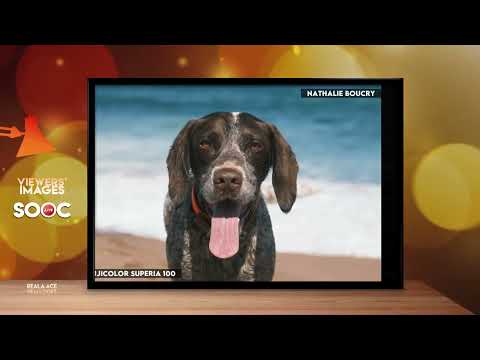 SOOC | Viewers Slideshow Reala Ace Film Looks se03ep13