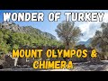 Mount Olympos Chimera Turkey S Eternal Flames And Ancient Ruins