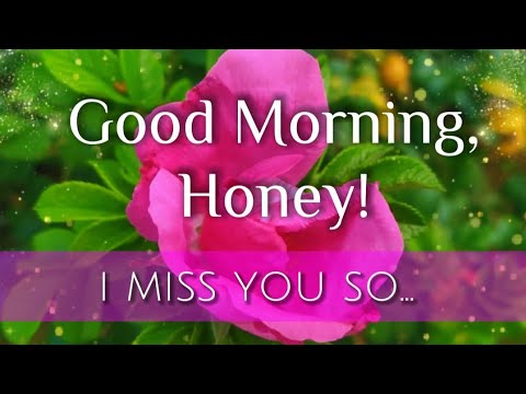 Good Morning Wishes to Beloved at a Distance with Beautiful Music.