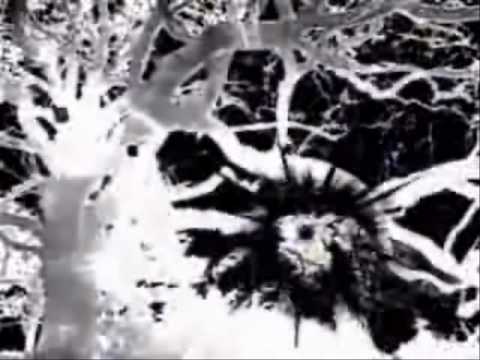 DEPECHE MODE vs DIRTYPRINCESS mashup by naraian