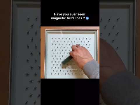 😱Have you ever seen magnetic field lines?   || magnetic poles #magnet #physics