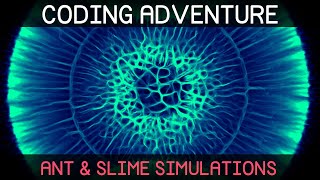 Download the video "Coding Adventure: Ant and Slime Simulations"
