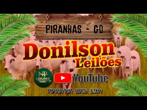 DONILSON LEILÕES - PIRANHAS GOIAS 01/04/2026