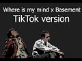 Where Is My Mind x Basement || TikTok Version