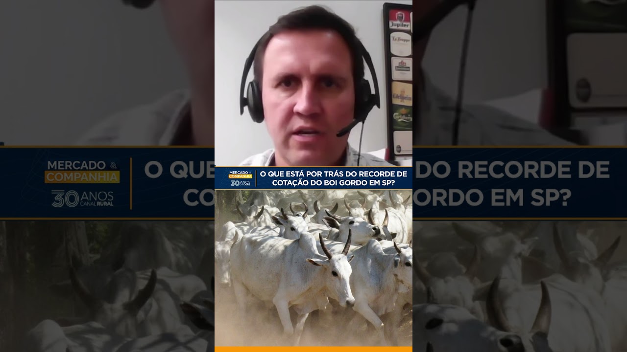 Arroba do boi gordo atinge maior preço da história em São Paulo