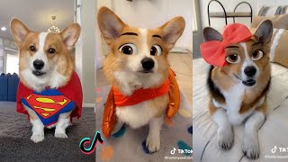 Ultimate Hammy and Olivia New Funny TikTok Compilation 2021 | All Hammy and Olivia Funny Videos