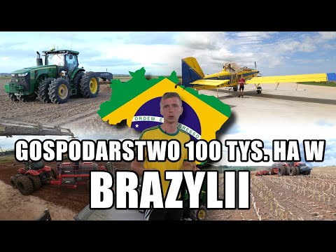 Cała prawda o rolnictwie Brazylii! Odwiedzamy gospodarstwo o powierzchni 100 tys hektarów! CZ.1