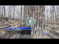 Join the First Day Hike at Tishomingo State Park on Jan. 1