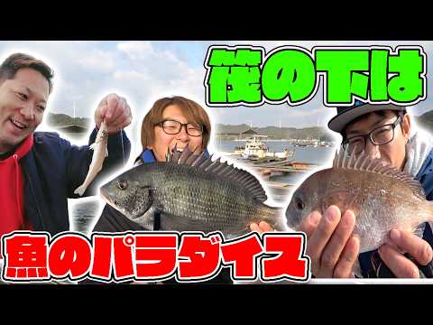 エサを落とすだけのお手軽フィッシングで五目釣り達成！！