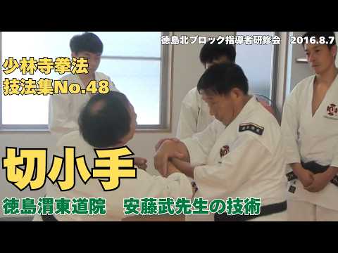 vol.89【少林寺拳法　Shorinji Kempo　徳島】師　藤田武夫先生　技法集　No.48　切小手（徳島渭東道院　安藤武先生の技術）2016年徳島北ブロック指導者研修会　2016.8.7