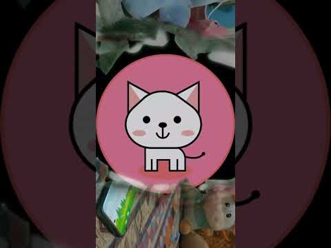 Muezza Cat Play
