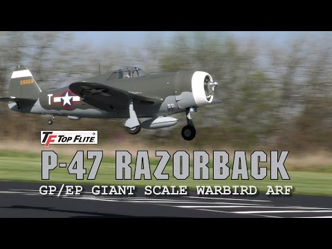Spotlight: Giant Scale P-47 Razorback 50-61cc/EP ARF by Top Flite