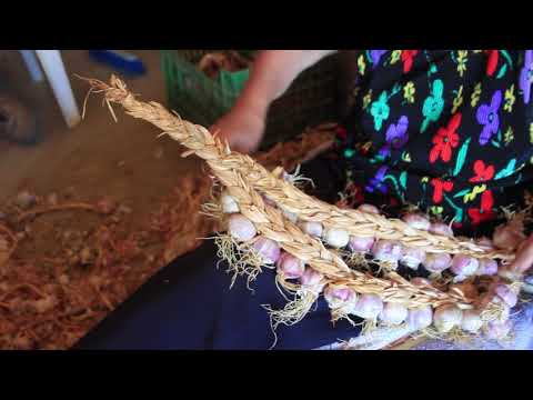 Aglio rosso di Nubia