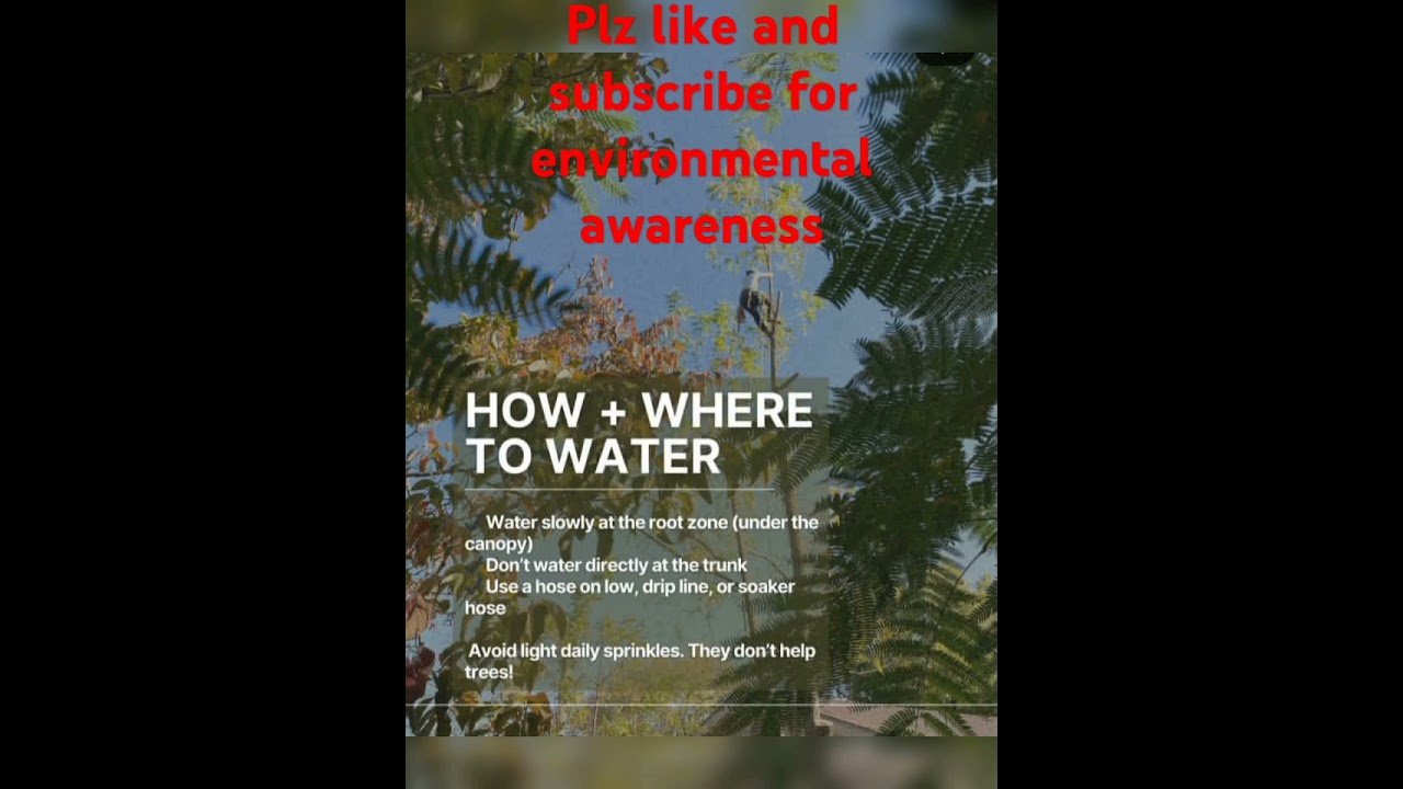 it is our responsibility to clean our environment from pollution / best method of watering the plan