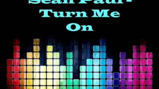 Sean paul Turn me on