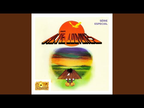 Para Onde Vão As Aves