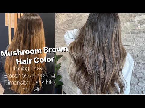 MUSHROOM BROWN | Toning Down BRASSY Hair & Adding...