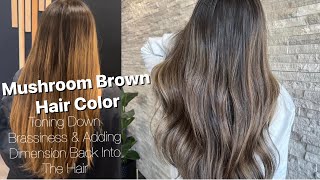 MUSHROOM BROWN | Toning Down BRASSY Hair & Adding DIMENSION