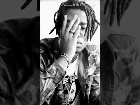 ZALKA de Dynamic _BigManTeam