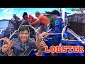 CATCHING LOBSTER LAPU LAPU USING FISH TRAP TRADITIONAL FISHING STYLE