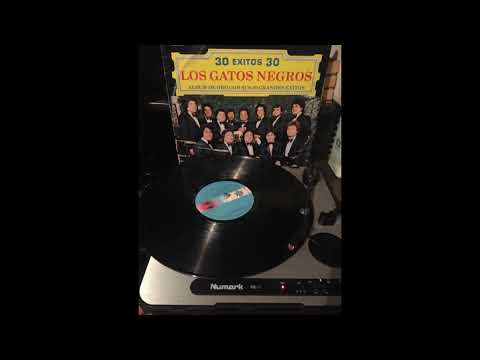 Los Gatos Negros - María Cristina.