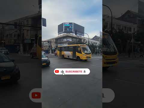 Micro clásica F11 Pie Andino en Plaza de Puente Alto | Santiago