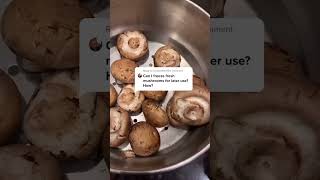 Download lagu How to freeze mushrooms 🍄🥶 mp3
