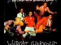 Ray Campi & His Rockabilly Rebels - Wildcat Shakeout