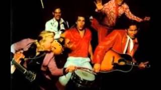 Ray Campi & His Rockabilly Rebels - Wildcat Shakeout