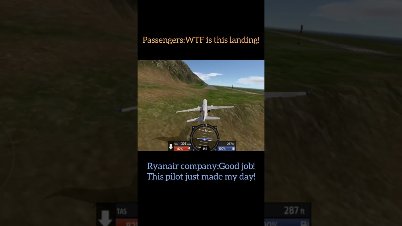 Ryanair landing......#plane#planecrash#boeing#ryanair#simpleplanes