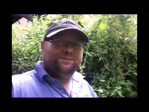 Norma Machete vs. Gartendschungel