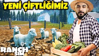 YENİ ÇİFTLİĞİMİZİ KURDUK!! DEVASA GÜNCELLEME!!! EKİPLE RANCH SIMULATOR | Barış Can YENİ ÇİFTLİĞİMİZİ KURDUK!! DEVASA GÜNCELLEME!!! EKİPLE RANCH SIMULATOR | Barış Can