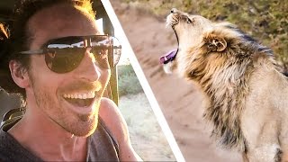 TRACKING A LION